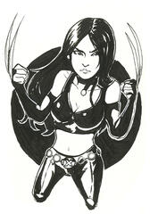 X23 X23